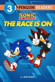 Sonic the Hedgehog: The Race Is On 