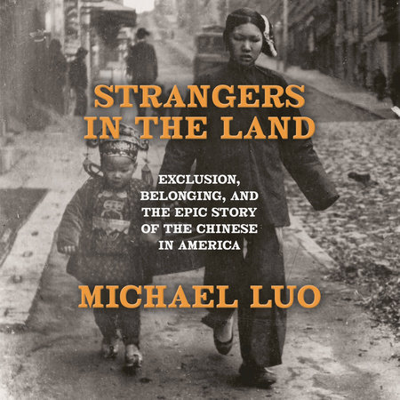 Strangers in the Land by Michael Luo