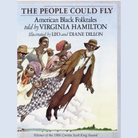 Cover of The People Could Fly cover