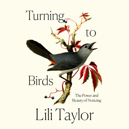 Turning to Birds by Lili Taylor