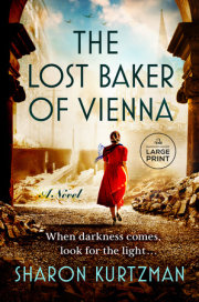 The Lost Baker of Vienna 