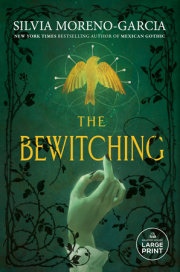 The Bewitching 