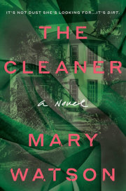 The Cleaner 