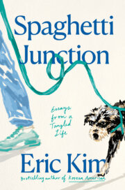 Spaghetti Junction 