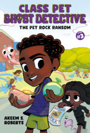 The Pet Rock Ransom: A Graphic Novel 