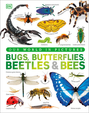Our World in Pictures Bugs, Butterflies, Beetles and Bees