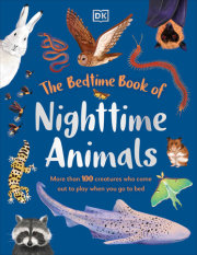 The Bedtime Book of Night-Time Animals 