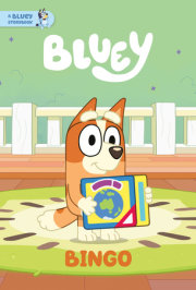 Bingo: A Bluey Storybook 