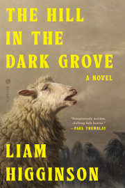 The Hill in the Dark Grove 