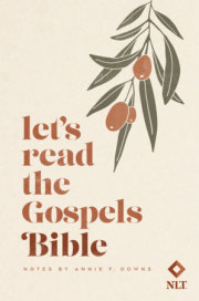 Let's Read the Gospels Bible 