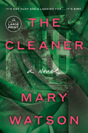 The Cleaner 