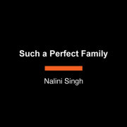 Such a Perfect Family 