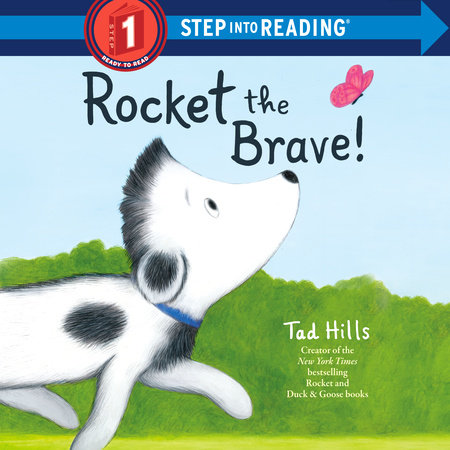 Rocket the Brave! by Tad Hills