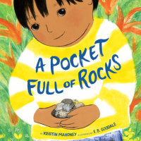 Cover of A Pocket Full of Rocks cover