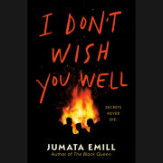 I Don't Wish You Well 