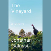 The Vineyard 