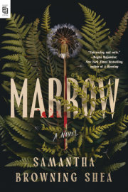 Marrow 