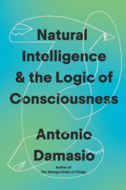 Natural Intelligence & the Logic of Consciousness 