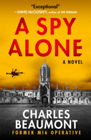 A Spy Alone 