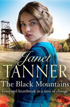 The Black Mountains by Janet Tanner: 9798217256112
