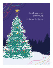 Positively Green Greeting Cards: Holiday - I Wish You Every Possible Joy (Pack of 6) 