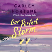 Our Perfect Storm 