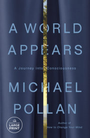 A World Appears 