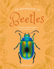 An Anthology of Beetles 