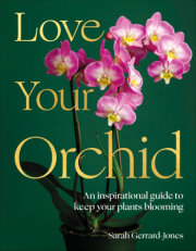 Love Your Orchid 