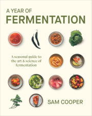 A Year of Fermentation 