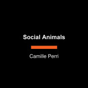 Social Animals 