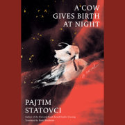 A Cow Gives Birth at Night 