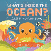 What's Inside the Ocean? 