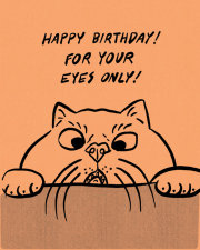 Humor Us Greeting Cards: Birthday - Happy Birthday! For your eyes only! (Pack of 6) 