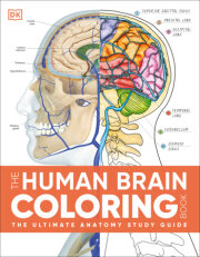 The Human Brain Coloring Book 