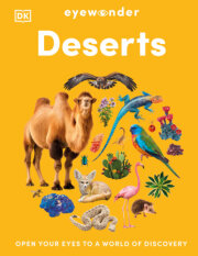 Eyewonder Deserts 