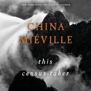 This Census-Taker 