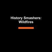 Book cover for History Smashers: Wildfires