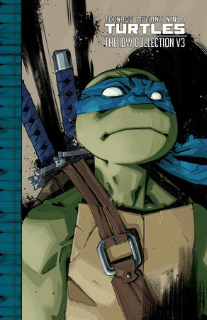 Meet the new, female, Teenage Mutant Ninja Turtle: Jennika