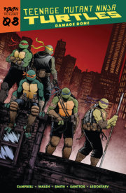 Teenage Mutant Ninja Turtles: Reborn, Vol. 8 - Damage Done 