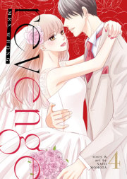 Revenge: Mrs. Wrong Vol. 4 