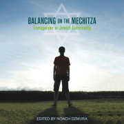 Balancing on the Mechitza 