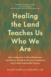 Healing the Land Teaches Us Who We Are 