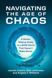 Navigating the Age of Chaos 