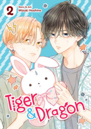 Tiger and Dragon Vol. 2 