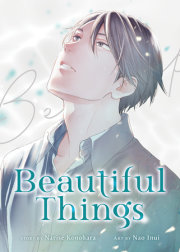 Beautiful Things: The Complete Manga Collection 