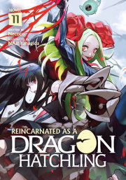 Reincarnated as a Dragon Hatchling (Light Novel) Vol. 11 