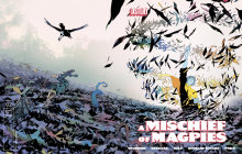  JUN200620261492 | A MISCHIEF OF MAGPIES @2 CVR A MATIAS BERGARA PRE ORDER/ÖN SİPARİŞ [JUN26] | PRH  