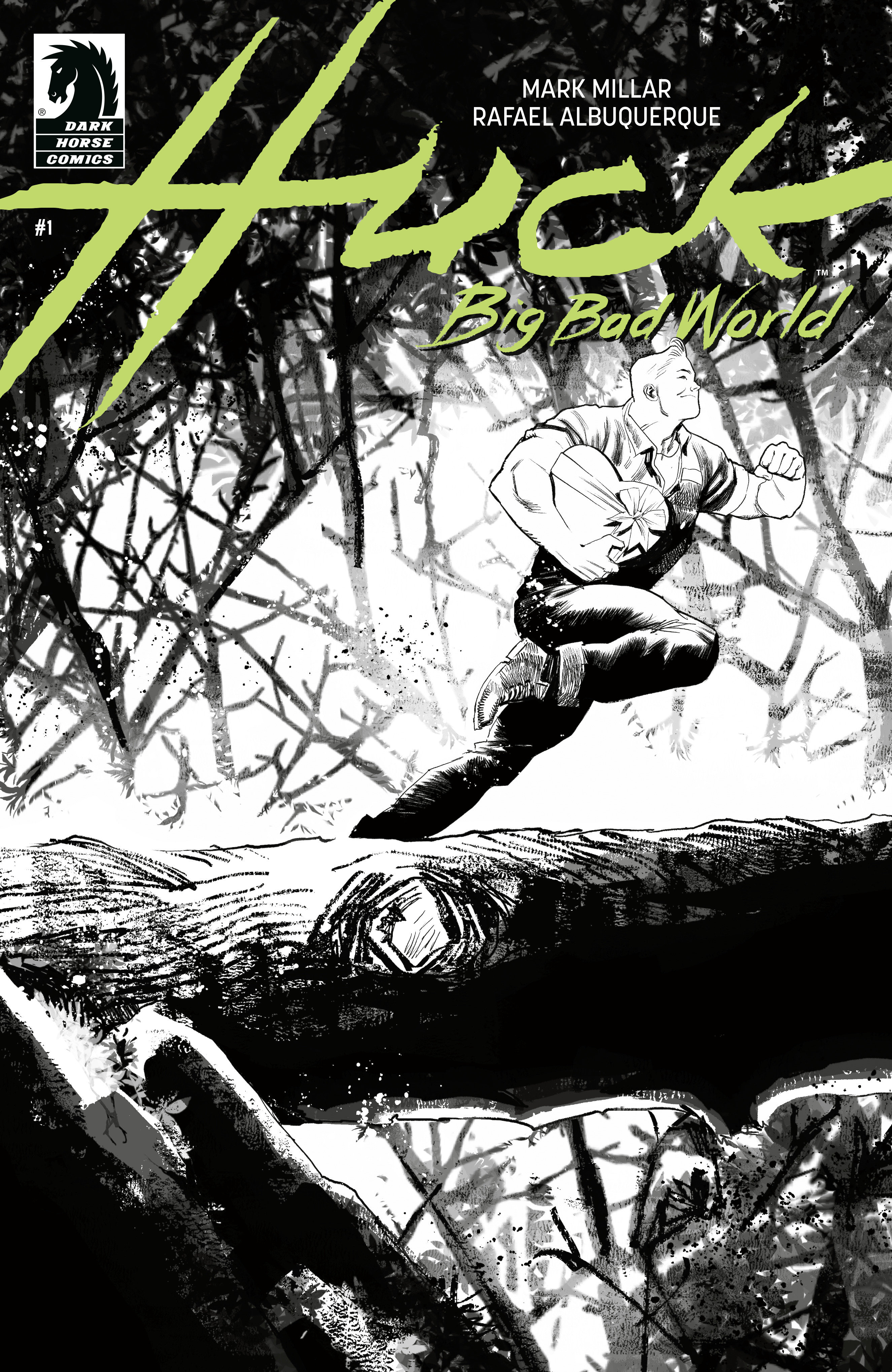 Weekly Pull list - Huck: Big Bad World #1 (CVR B) (B&W) (Rafael Albuquerque)