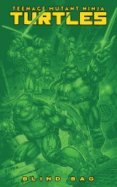  SEP251281 | TEENAGE MUTANT NİNJA TURTLES @13 VARİANT F (BLİND BAG) PRE ORDER/ÖN SİPARİŞ [SEP25] | IDW  